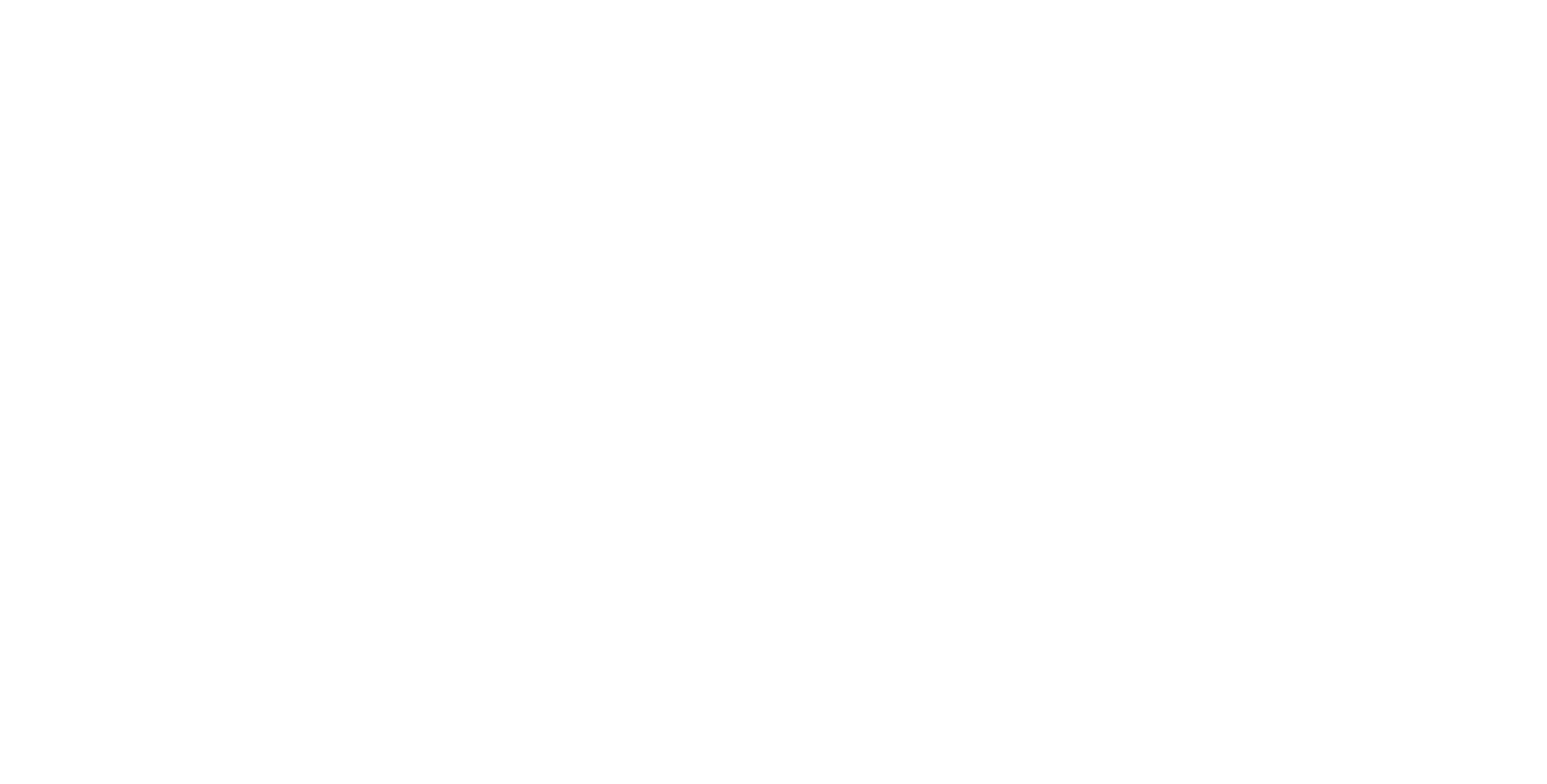 Fliq Logo-02